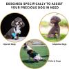 Adjustable Lifting Harness for Senior Dogs view 4