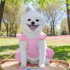 Dog Dress - Cat Clothing for Outdoors | Stylish Cowboy Overall for Kittens and Puppies view 2