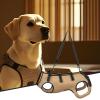 Dog Lift Harness for Senior and Disabled Dogs view 3