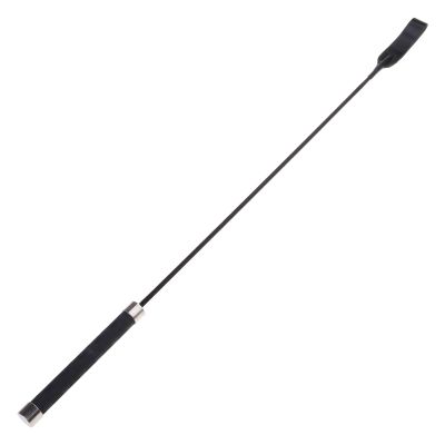NVOQILIN Dog Training Whip
