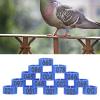 BAFOVY 100-Piece Bird Foot Rings, 10 mm, Numbered 001–100, Blue view 4