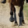 Generic Fly Socks, Fly Boots, 4-Piece Set view 4