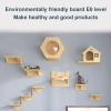 Cat Wall Climbing Shelves for Sleeping, Playing and Lounging, Supports up to 35.1 lb view 3