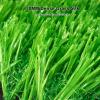Realistic Artificial Grass Mat for Indoor and Outdoor Use, Ideal for Dog Potty Training view 3