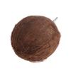 NIHENHAO Hanging Fiber Bird Nest view 4