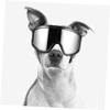 Dog Sunglasses with Wind Protection, Flexible PVC, and Contoured Fit view 3