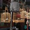 TOYANDONA Bird Cage Cover view 4
