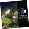 Toddmomy 3-Piece Floating Fish Feeding Ring view 3