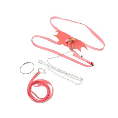 Pink Lizard Harness and Leash for Reptiles, Lightweight and Portable