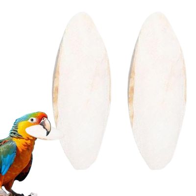 usefulbeauty Octopus Bones 2 pcs | Beak Stone 15-20 cm for Budgerigars, Reptiles, Canaries, Cockatiels, Aquarium