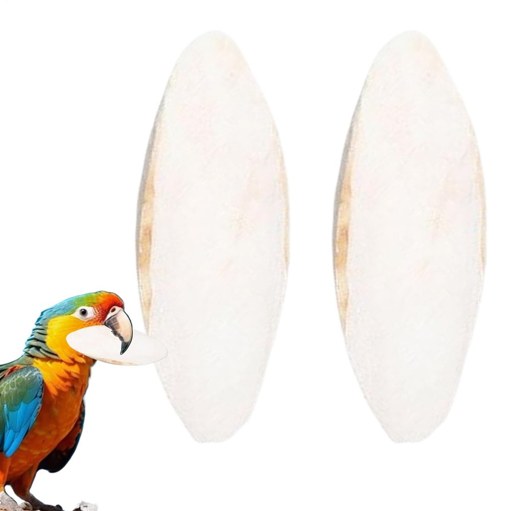 usefulbeauty Octopus Bones 2 pcs | Beak Stone 15-20 cm for Budgerigars, Reptiles, Canaries, Cockatiels, Aquarium