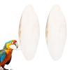 usefulbeauty Octopus Bones 2 pcs | Beak Stone 15-20 cm for Budgerigars, Reptiles, Canaries, Cockatiels, Aquarium view 1