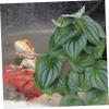 KOMBIUDA Artificial Reptile Terrarium Plant view 3