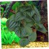 KOMBIUDA Artificial Reptile Terrarium Plant view 4