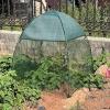Plant Shade Tent for Animal and Tree Protection view 2