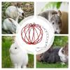 Rabbit Hay Feeder, Cage Rack Feeder and Chew Accessory view 4