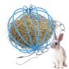 Qkbuza Hanging Metal Hay Feeder for Small Pets view 1