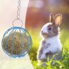 Qkbuza Hanging Metal Hay Feeder for Small Pets view 2