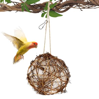 Hummingbird Nesting House