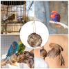 Hummingbird Nesting House view 4
