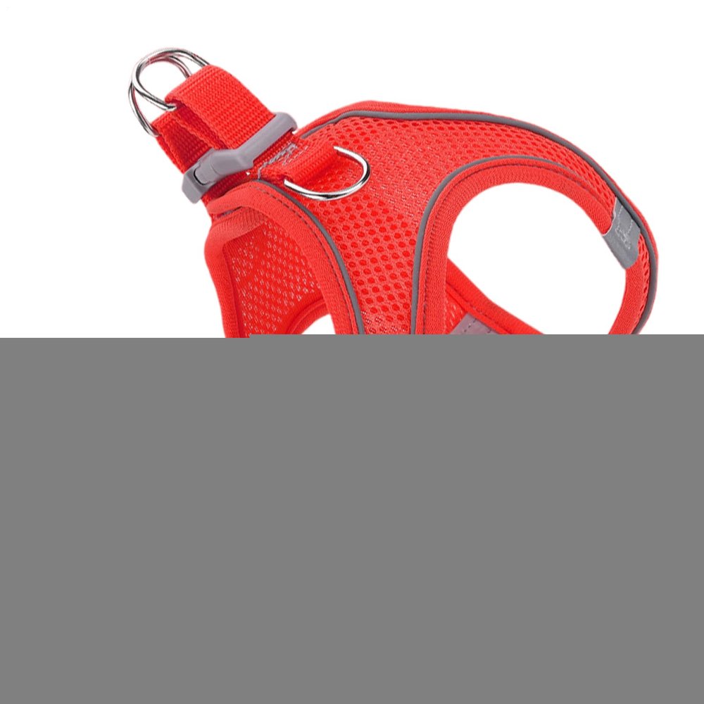 Cat Harness for Travel