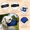 Colenumone Breathable 3D Air-Mesh Dog Muzzle, Soft and Adjustable, Blue-XL view 4