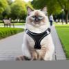 Cat Harness and Leash Set view 2