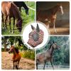 Fly Mask with Mesh Netting view 4