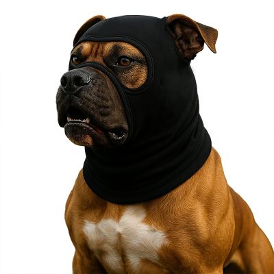 Colenumone Dog Hat