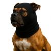 Colenumone Dog Hat view 1