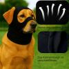 Colenumone Dog Hat view 3