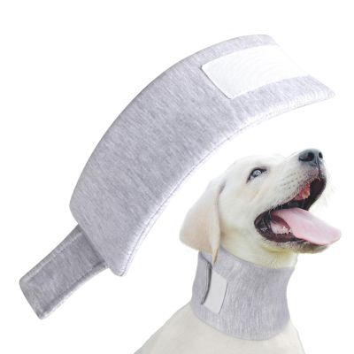 Soft Recovery Collar for Dogs