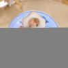 Generic Water Mat for Cats – Round Water Play Mat for Summer, Outdoor Play, or Travel view 2