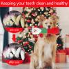 KOIROI Christmas Dog Toy view 4