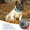 Dog Muzzle for Short Snouts - Orange XXS view 4