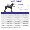 CITTOILE Waterproof Dog Coat with Zipper, Blue, XS view 4