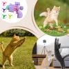 Cat Fetch Toy with Luminous Disc Shooter view 4