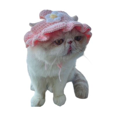 Cartoon Pet Hat for Pets