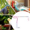 Barch Stand | Interactive Toy for Birds view 3