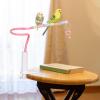 Barch Stand | Interactive Toy for Birds view 4