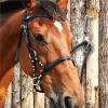 Horse Tie Ring, Safe Horse Gear (White) view 4