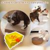 Cat Cardboard Cutter view 2