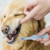 TOYANDONA 2-Pack Soft Toothbrushes for Dogs and Cats view 4