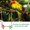 Parrot Swing Toy – Rope Perch, Cage Hanger | Vibrant Play Stand view 2