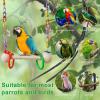 Parrot Swing Toy – Rope Perch, Cage Hanger | Vibrant Play Stand view 3