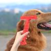 FONDOTIN Pet Comb for Dogs and Pets view 2