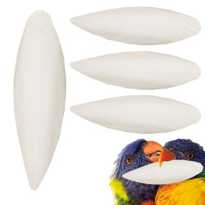 Sepia Shell for Parakeets and Parrots
