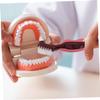 Beavorty 6-Piece Double-Sided Denture Cleaning Brush Set view 4