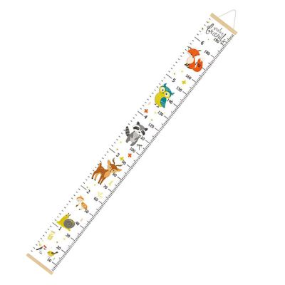 Children’s Height Chart Wall Decor, Removable and Hanging