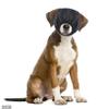 Portable Pet Eye Patch, Soothing Sun Visor, Black view 3